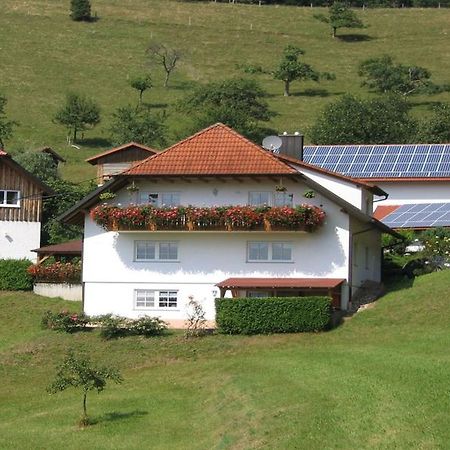 Ferienwohnung Burgblick Seelbach  Exterior photo