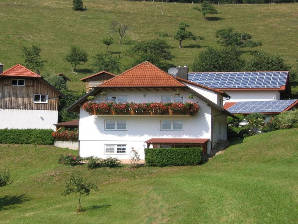 Ferienwohnung Burgblick Seelbach  Exterior photo