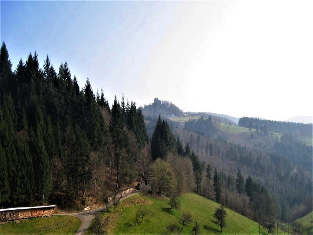 Ferienwohnung Burgblick Seelbach  Exterior photo